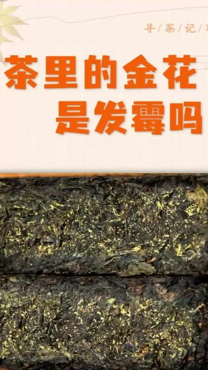 茶叶长白毛了还能喝吗