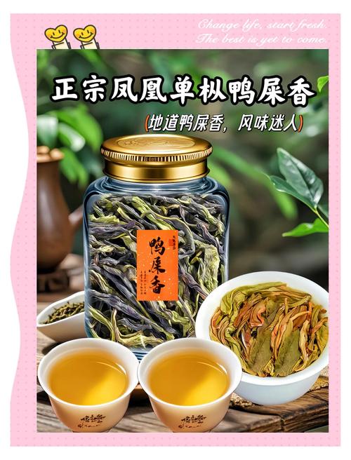 想入手鸭屎香口粮茶？这几个潮汕知名品牌别错过
