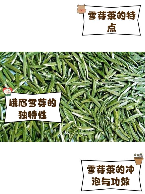 飘雪茶叶