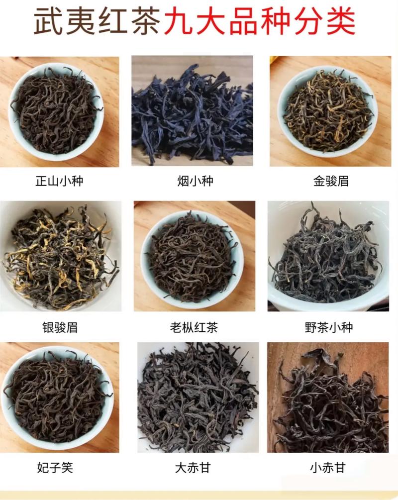 福建什么茶叶最出名