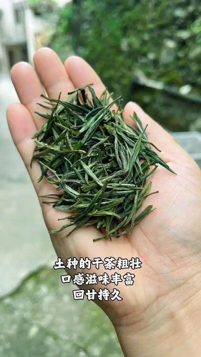 最好的茶叶十大排名