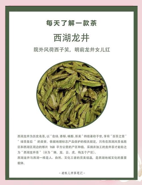 最好的茶叶十大排名