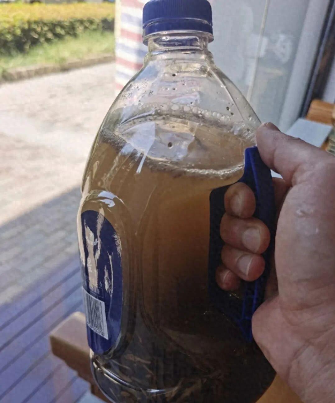 茶叶渣能养花？掌握正确用法，让普通废茶叶变养花黑金子