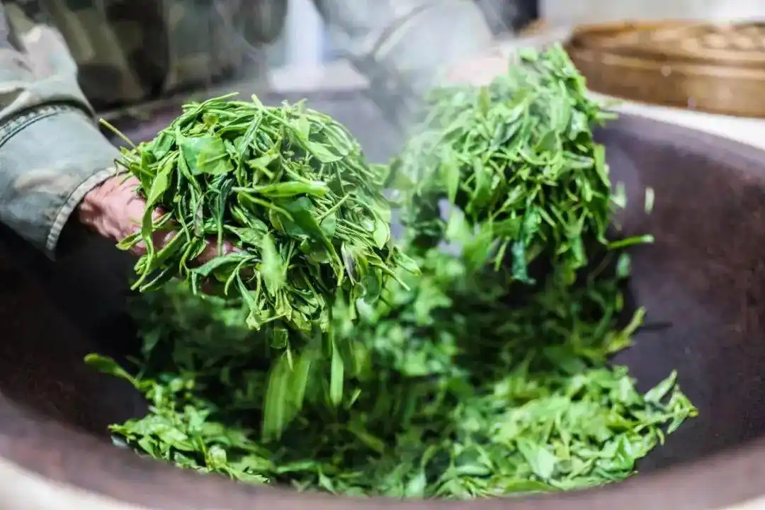 茶叶是冷藏还是冷冻好