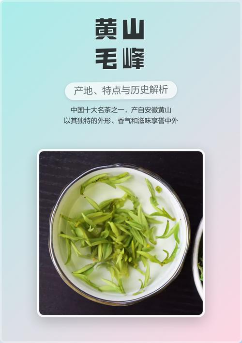 毛峰茶叶多少钱一斤