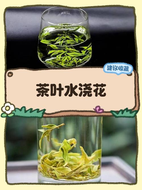 茶叶水浇花好不好
