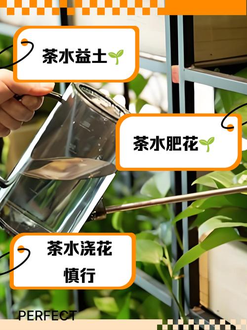 茶叶水浇花好不好