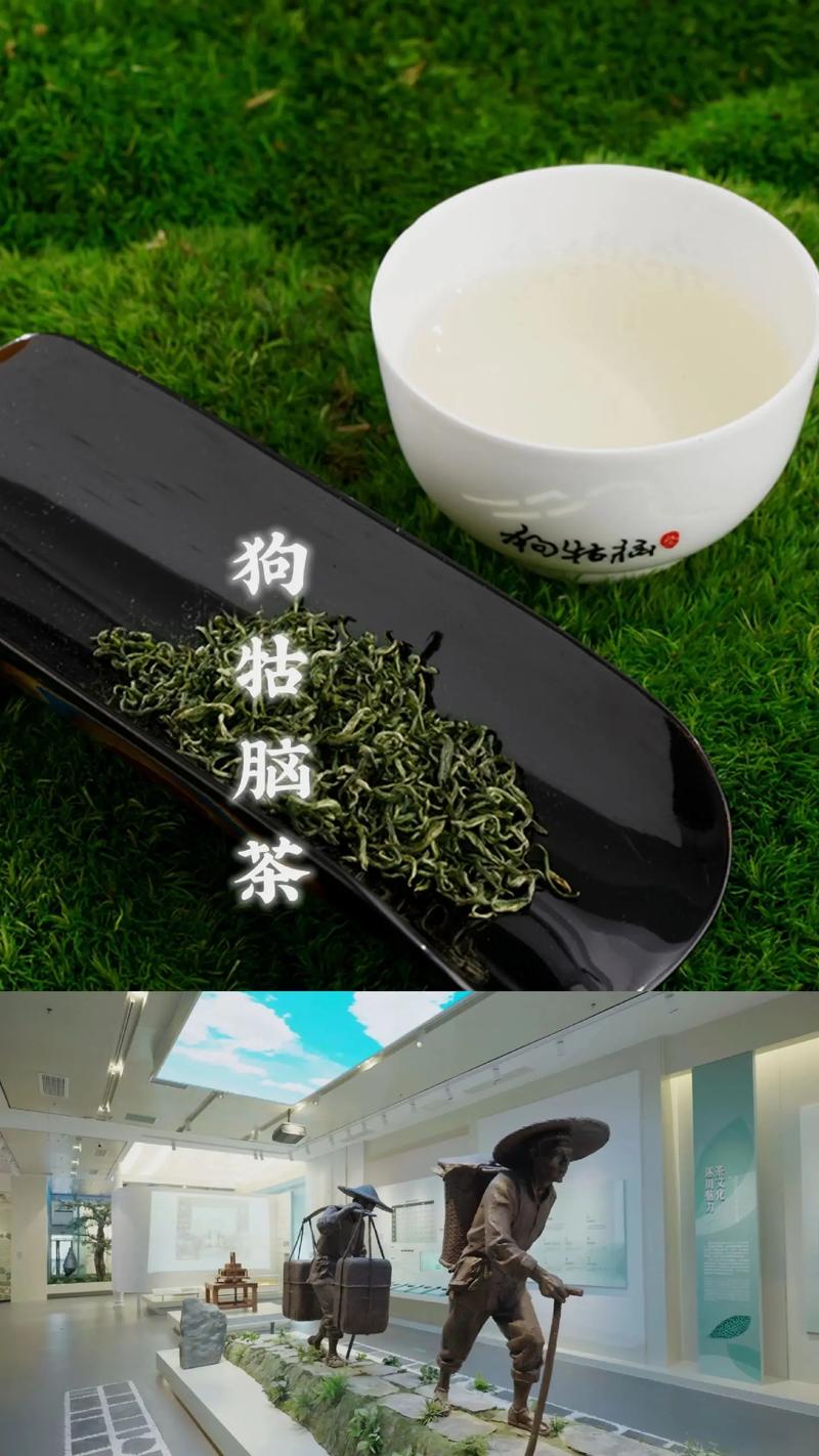 狗牯脑茶叶多少钱一斤