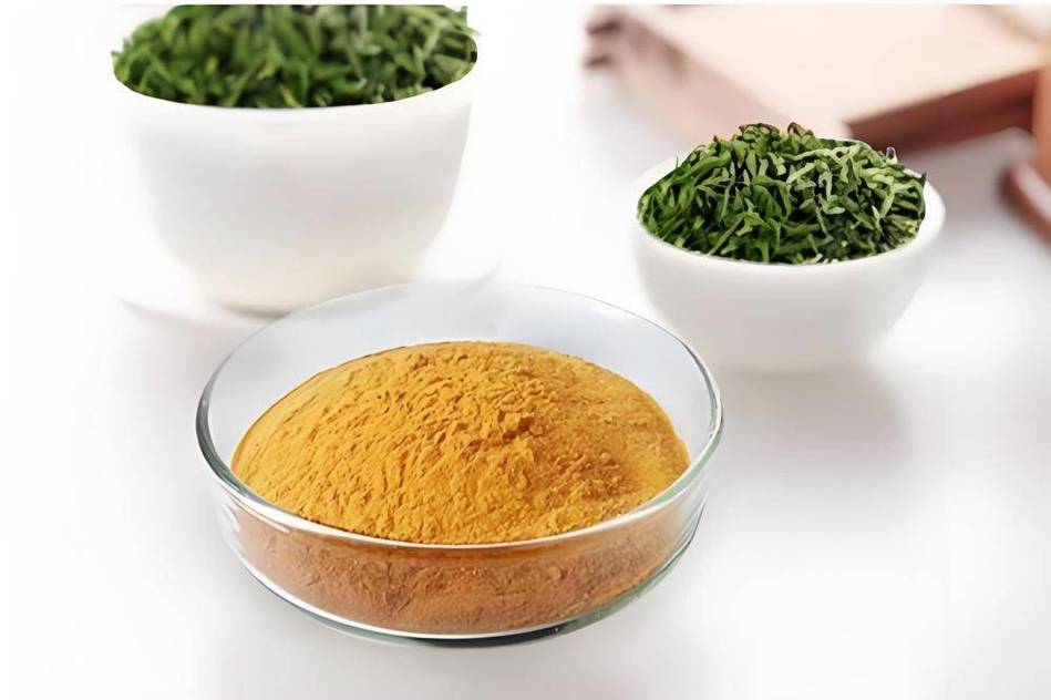 三种茶叶降血脂最快