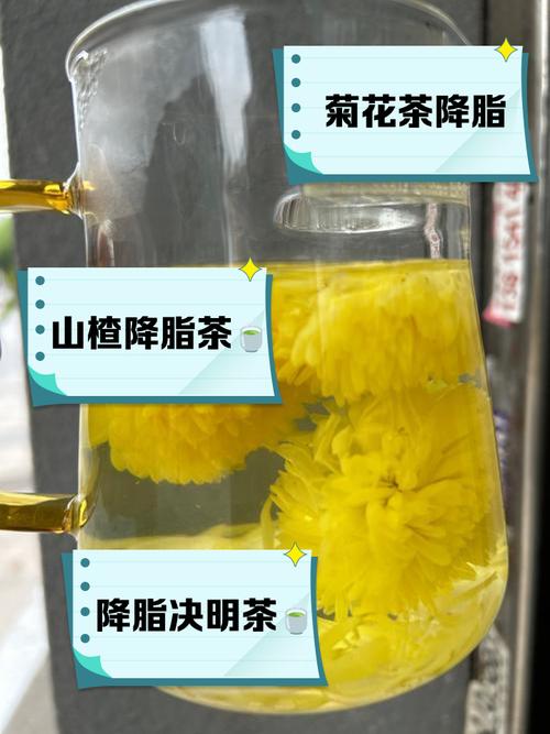 三种茶叶降血脂最快