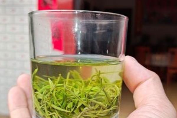 狗牯脑茶叶多少钱一斤，价格在800元左右(好品质要上千)