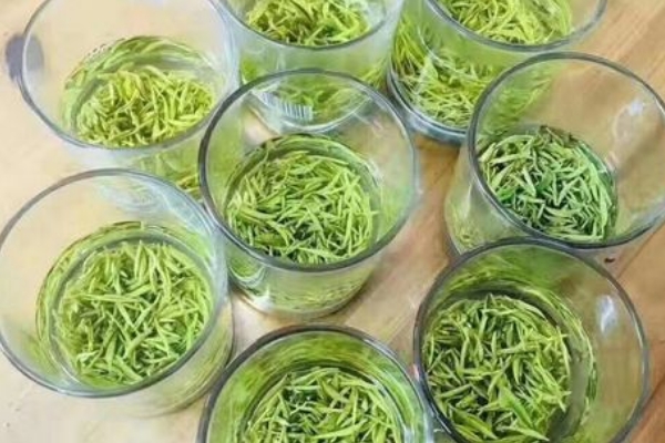 狗牯脑茶叶多少钱一斤，价格在800元左右(好品质要上千)