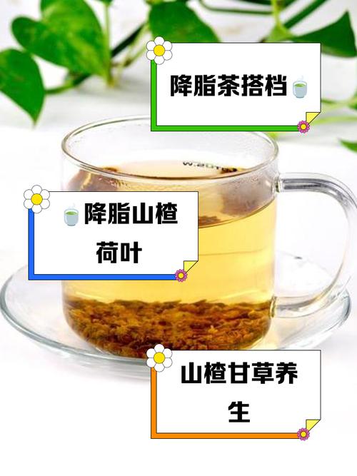 三种茶叶降血脂最快