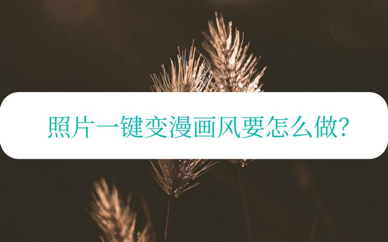 把人画成漫画的软件