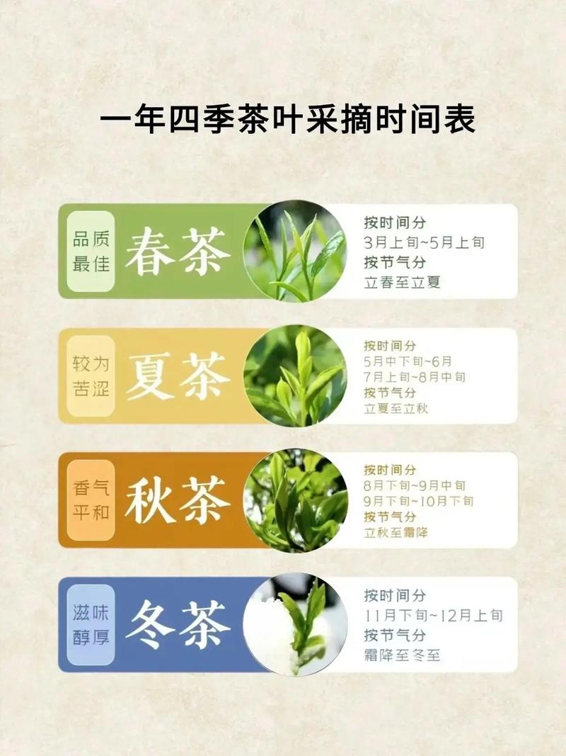 茶叶采摘时间