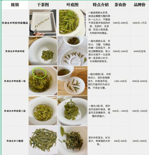 西湖龙井茶叶价格揭秘：从200元到8000元，核心产区为何这么贵？
