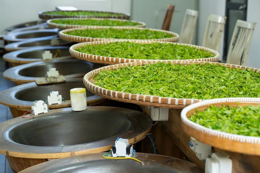 西湖龙井茶叶价格