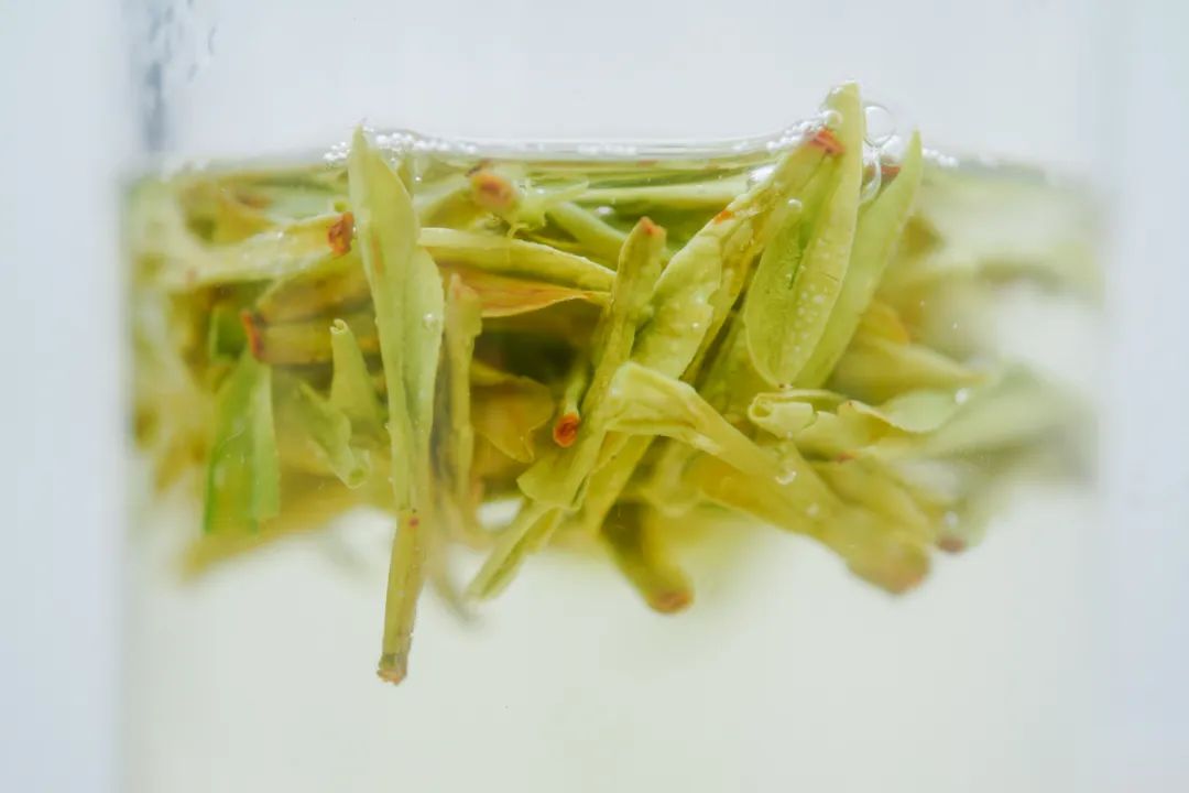 西湖龙井茶叶价格