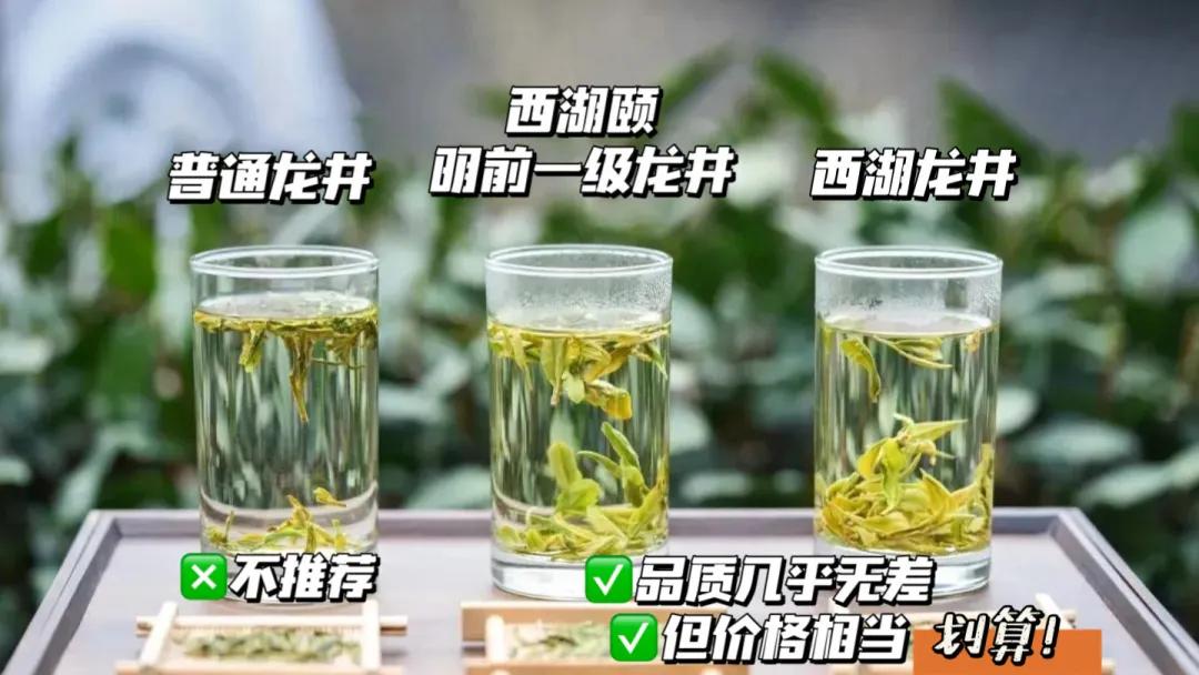 西湖龙井茶叶价格