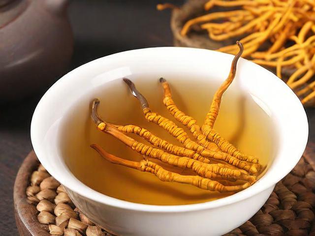 虫草茶的功效与正确冲泡方法,提升免疫力、改善呼吸系统健康必备饮品