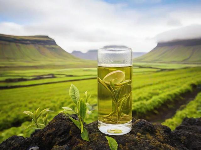 冰岛南迫古树茶简介：核心产区与独特制作工艺的深度解析