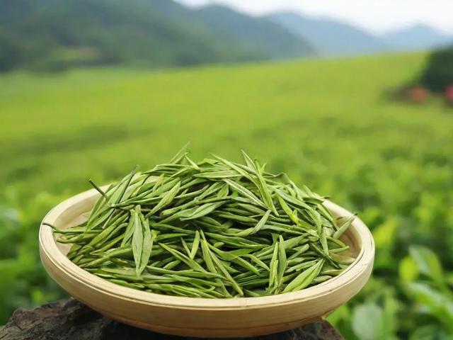 贺开古树茶叶的功效与产地解析,喝出健康生活