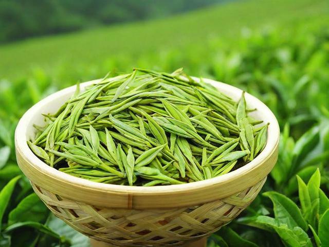 贵州名茶排名及影响茶叶品质的关键因素解析