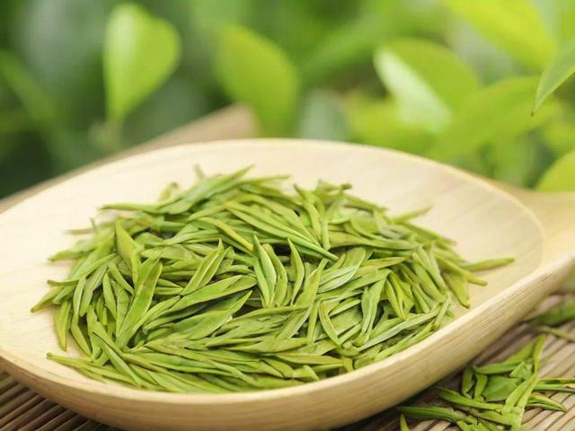 哪些茶叶是青茶？全面解析青茶品种与品鉴技巧
