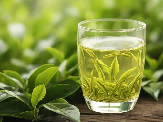 哪些茶叶是青茶?全面解析青茶品种与品鉴技巧