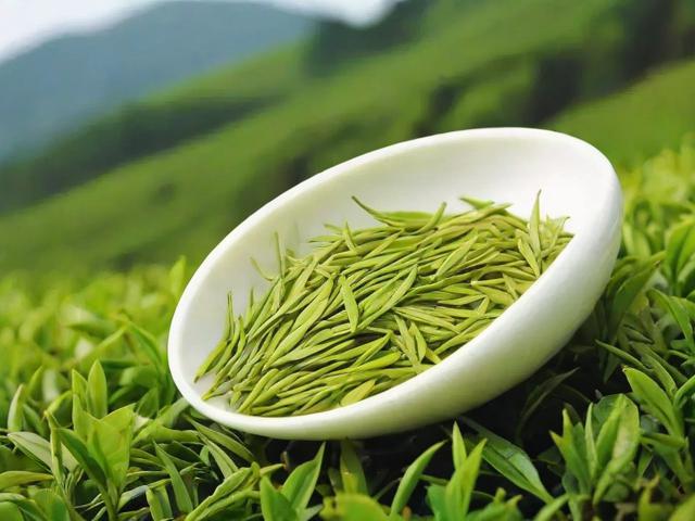 安吉都产什么茶叶 安吉白茶和绿茶的种类及特点全面解析