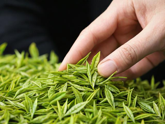 茶叶扦样技术全解析:从手工到智能,提升茶叶质量控制的关键步骤