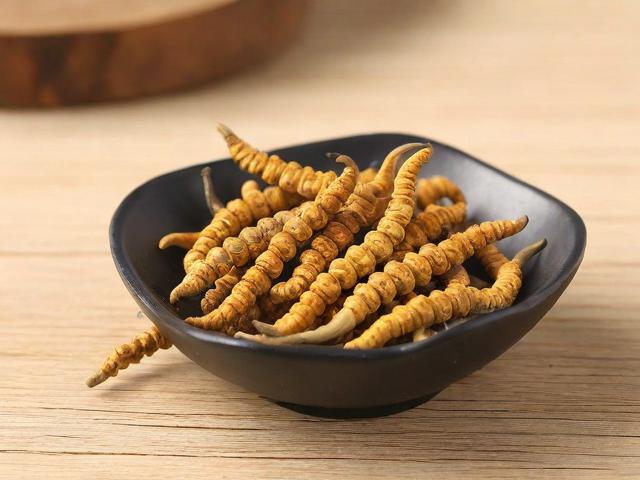 冬虫茶的功效与正确冲泡方法，让你轻松养生