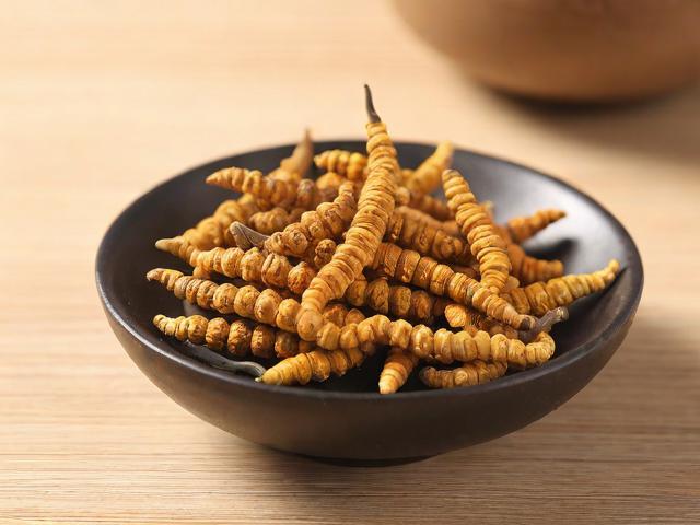 冬虫茶的功效与正确冲泡方法,让你轻松养生