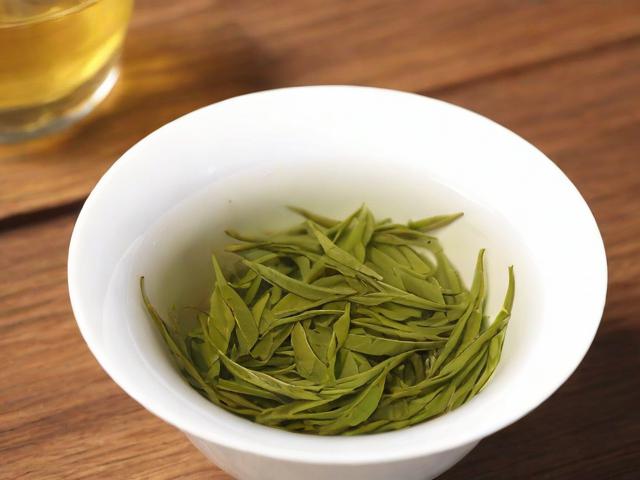 除湿的茶叶有哪些品种？全面解析绿茶、乌龙茶和普洱茶的功效与选择技巧