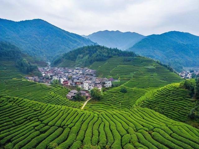 茶坝坝的文化传承与现代发展:探索其历史背景及未来趋势