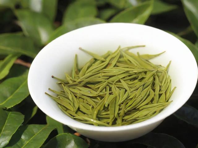 安顺有什么茶叶:探索安顺茶叶的种类与文化之旅
