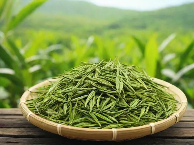 海南茶叶的历史文化与市场前景分析,助你深入了解这片绿色宝藏
