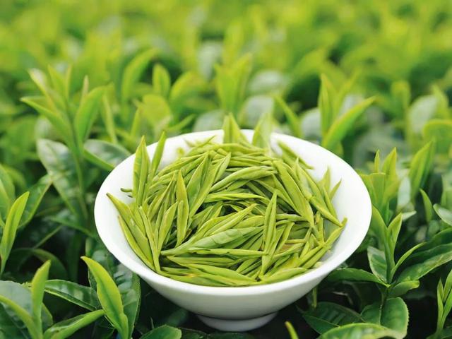 茶叶绿茶价格解析：影响绿茶价格的六大核心因素及选购指南