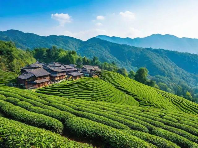 探索茶叶口镇：一个藏在深山中的茶香小镇与旅行全攻略