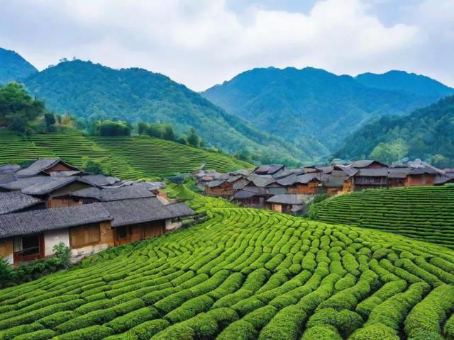 探索茶叶口镇：一个藏在深山中的茶香小镇与旅行全攻略