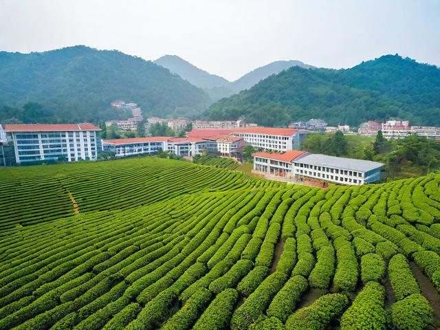 安溪茶叶职业技术学校：培养茶产业人才的职业教育典范