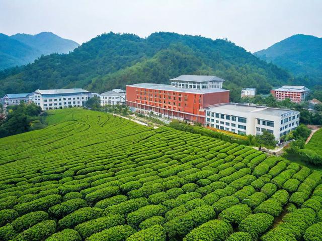 安溪茶叶职业技术学校:培养茶产业人才的职业教育典范