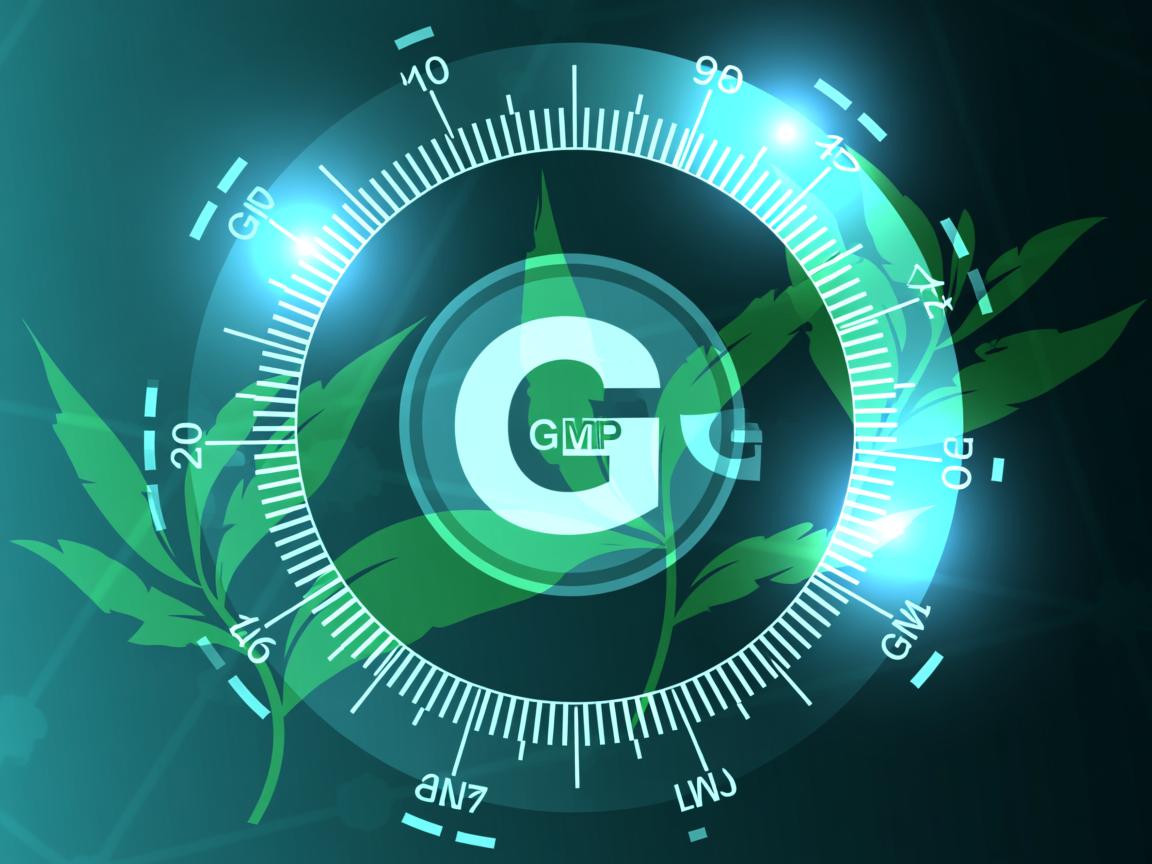 茶叶G级真相揭秘：不是国标等级，而是GMP落地程度的隐形刻度