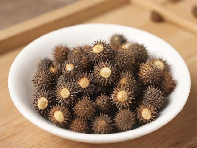 苍耳泡水有什么作用及正确饮用方法全解析