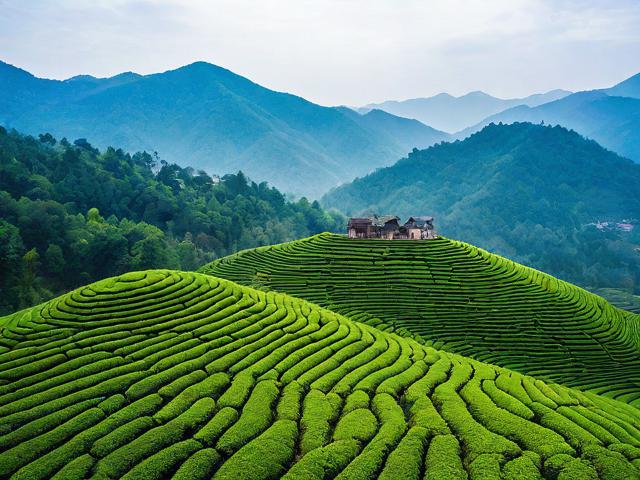 茶地坪风景区旅游攻略:探索自然美景与历史文化