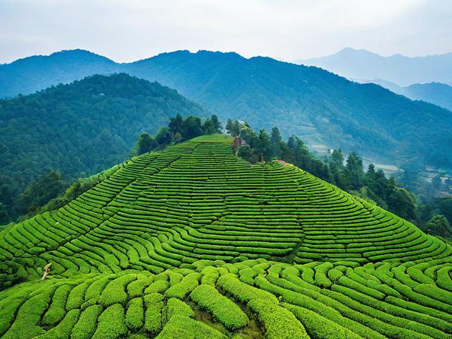 茶地坪风景区旅游攻略:探索自然美景与历史文化