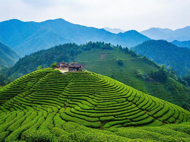 茶地坪风景区旅游攻略:探索自然美景与历史文化