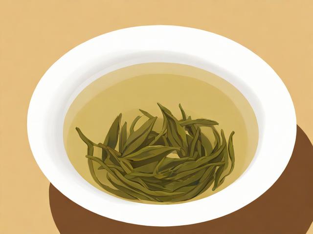 茶叶怎么画?超详细绘画技巧与步骤,轻松掌握茶叶插画精髓