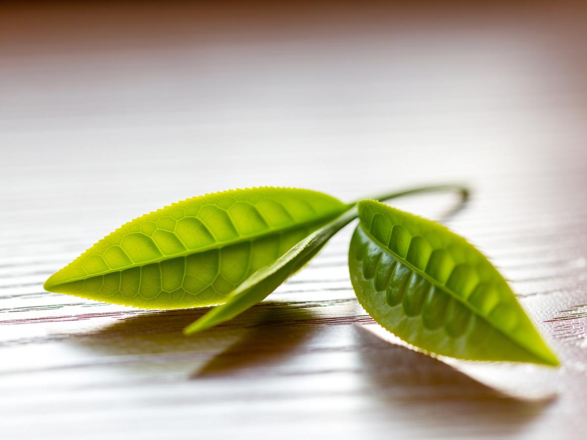 茶叶图片识别全攻略:从六大茶类外观到高颜值包装设计,一眼看懂好茶